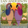 The Secret Language Of Birds - Ian Anderson