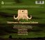 Supersonic Megafauna Collison - Acid Mammoth