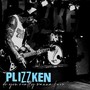 Do You Really Wanna Know - Plizzken