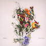 A Chaos Of Flowers - Big Brave