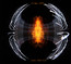 Dark Matter - Pearl Jam