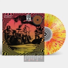 Live At Levitation - The Dandy Warhols 