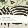 Feast Of The Swan - Den Bosch Choirbook vol. 4 - Cappella Pratensis & Stratton Bull & Sollazzo Ensemble