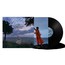 The Dream Of Delphi - Bat For Lashes The Dream Of Delphi - Bat For Lashes
