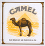 Ksan Broadcast, San Francisco, Ca, 1979 - Camel
