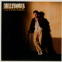 Meltdown - Niall Horan