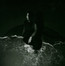 Night Reign - Arooj Aftab