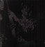 Bowie '72 Rock 'N' Roll Star - David Bowie Bowie '72 Rock 'N' Roll Star - David Bowie