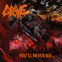 You Will Never See - Grave