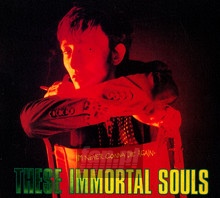 I'm Never Gonna Die Again - These Immortal Souls