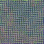 Merriweather Post Pavilion: 15TH Anniver - Animal Collective