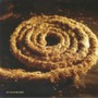 Recoiled - Coil  /  Nine Inch Nails