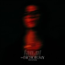 The Dichotomy - David Kushner