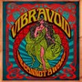 We Cannot Awake - Vibravoid