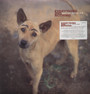 Everything & Nothing - David Sylvian
