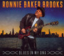 Blues In My Dna - Ronnie Baker Brooks 