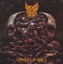 Chronicles Of Lunacy - Defeated Sanity