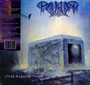 Flesh Requiem - Paganizer