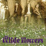 The Wilde Flowers - Wilde Flowers The Wilde Flowers - Wilde Flowers