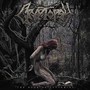 Book Of Suffering: Tome 1 - Cryptopsy