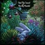 Feel The Sound - Harvey Mandel Feel The Sound - Harvey Mandel