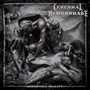 Exempting Reality - Cerebral Hemorrhage