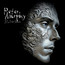 Silver Shade - Peter Murphy