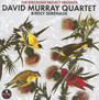 Birdly Serenade - David Murray