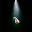 Eternal Sunshine Deluxe: Brighter Days Ahead - Ariana Grande Eternal Sunshine Deluxe: Brighter Days Ahead - Ariana Grande