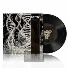 Dissonance Theory - Coroner