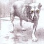 Alice In Chains - Alice In Chains