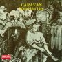 Waterloo Lily - Caravan