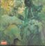 Blues From Laurel Canyon - John Mayall / The Bluesbreakers