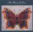 The House Of Love [3RD Album] - The House Of Love 