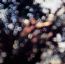 Obscured By Clouds - Pink Floyd Obscured By Clouds - Pink Floyd