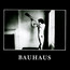 In The Flat Field - Bauhaus In The Flat Field - Bauhaus