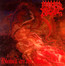 Blessed Are The Sick - Morbid Angel