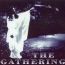 Almost A Dance - The Gathering