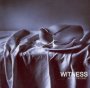Before The Calm - Witness