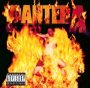 Reinventing The Steel - Pantera