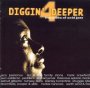 Roots Of Acid Jazz V.4 - Diggin' Deeper   