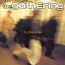If Then Else - The Gathering