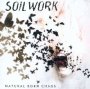 Natural Born Chaos - Soilwork