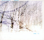 Out Here In There - Bugge Wesseltoft