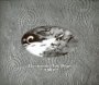 Electronics For Dogs - Silver Rocket