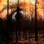 Enter Suicidal Angels - Dark Tranquillity