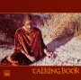 Talking Book - Stevie Wonder