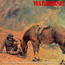 Warhorse - Warhorse