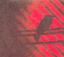 Born Into Trouble - Silver MT. Zion Memorial Orchestra, Thee
