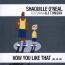 How You Like That - Shaquille O'Neal